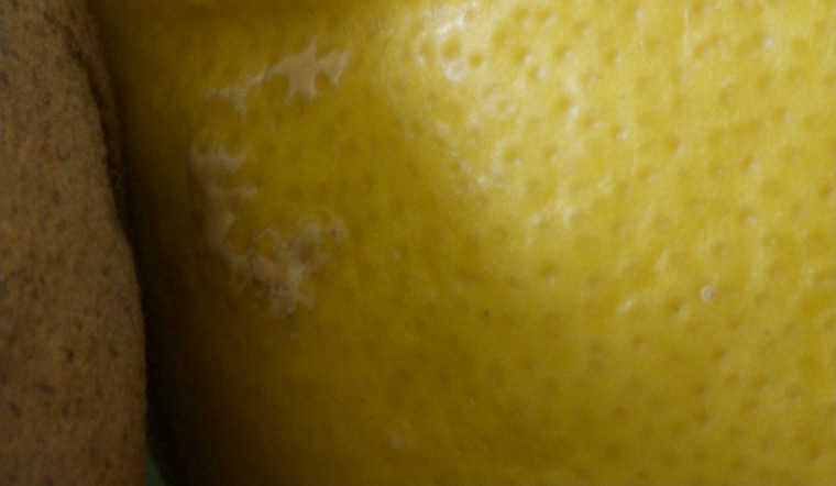Canon R5 photo at 100%, original